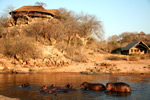 Click to view Ruaha River Lodge photogallery