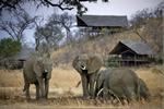 Click to view Stanley's Kopje photogallery